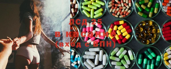 СК Липки
