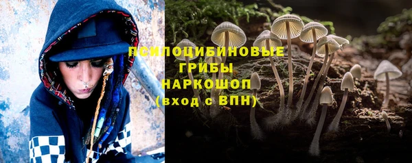 ECSTASY Арсеньев